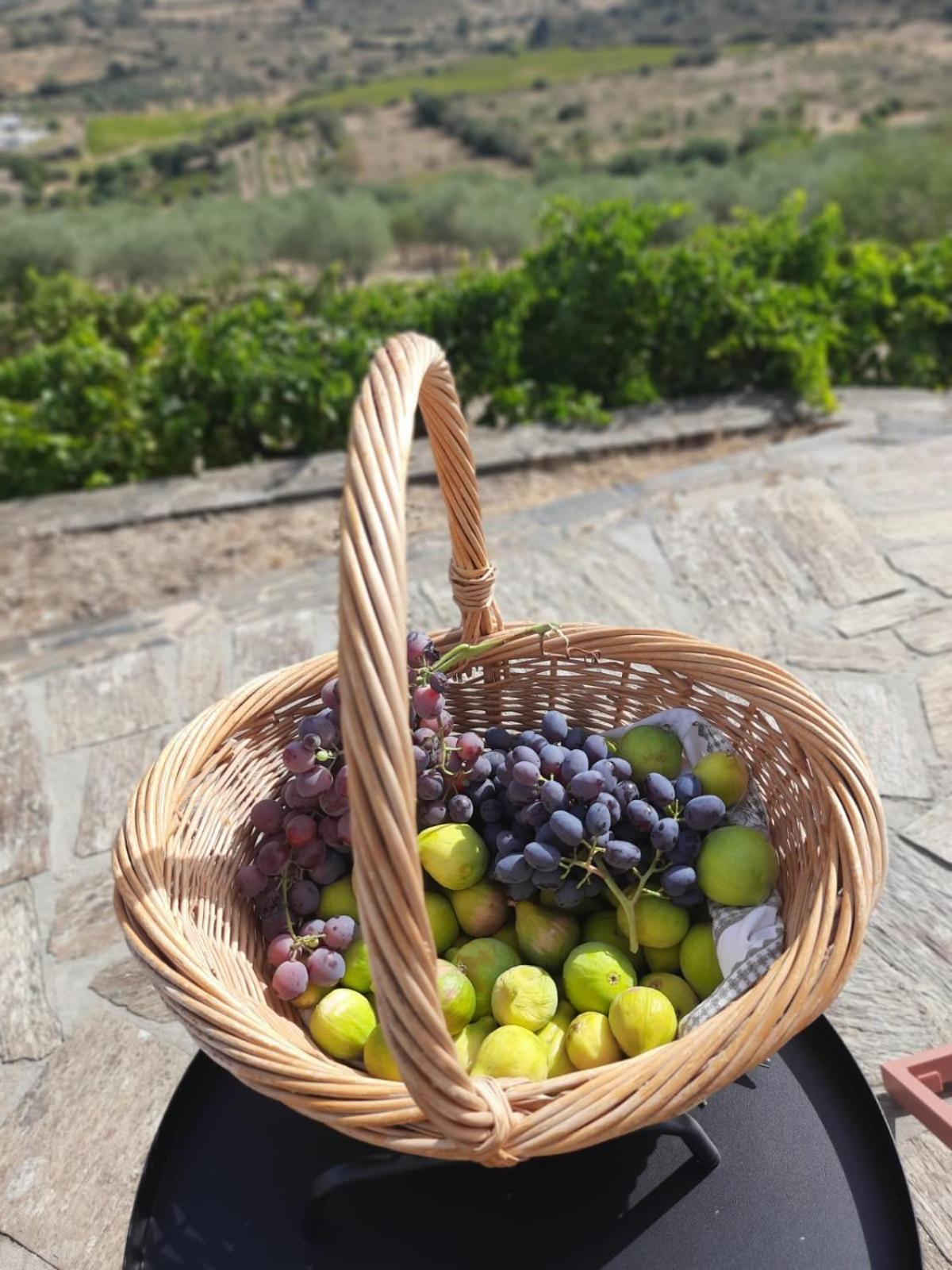 הוילה וילה נובה דה פוז קואה Quinta Alto Da Fraga מראה חיצוני תמונה